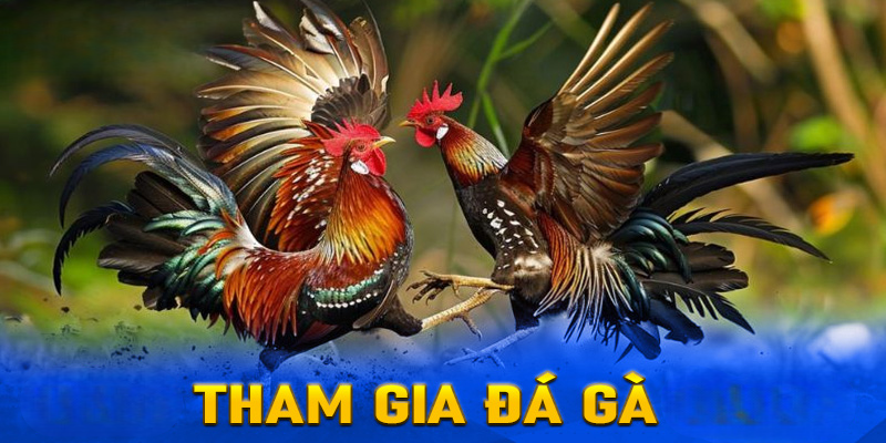 Đá Gà Bet88 – Điểm Đặt Cược Các Gà Trực Tuyến Số 1 Châu Á